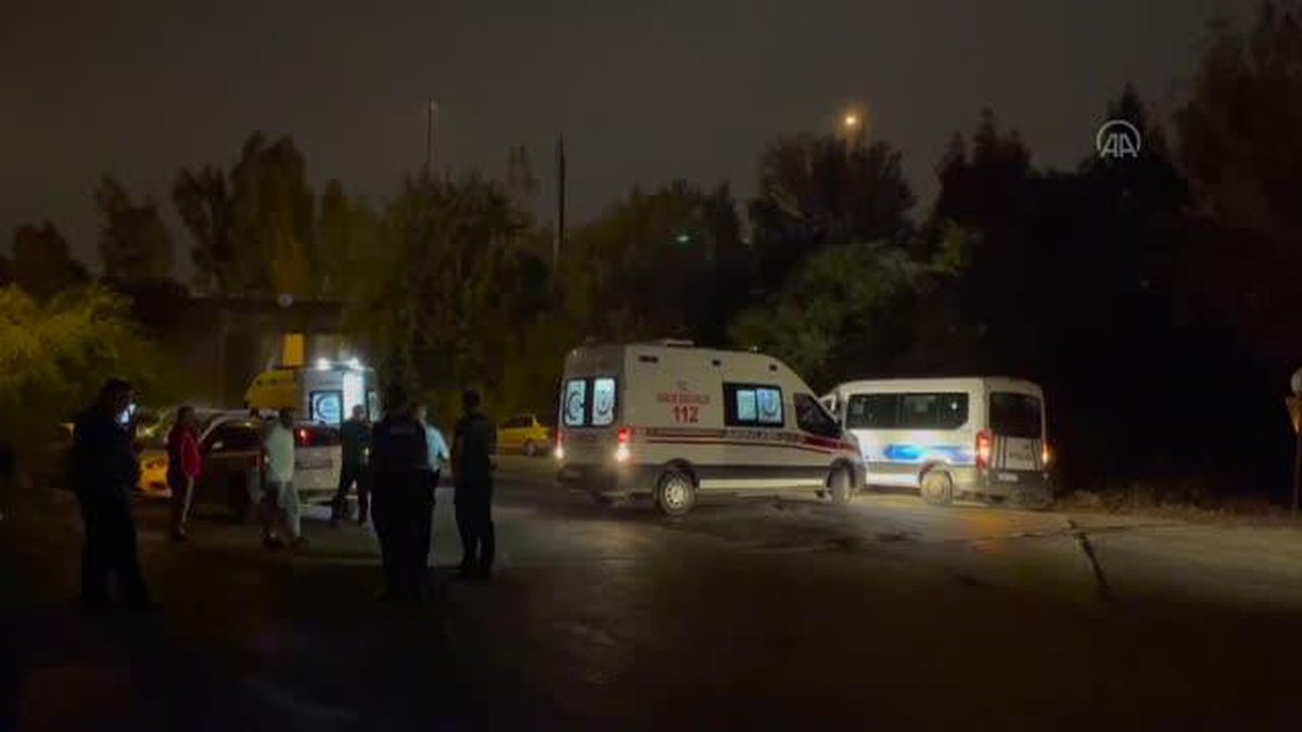 Adana\'da otomobilin otluğa devrilmesi sonucu iki kişi yaralandı