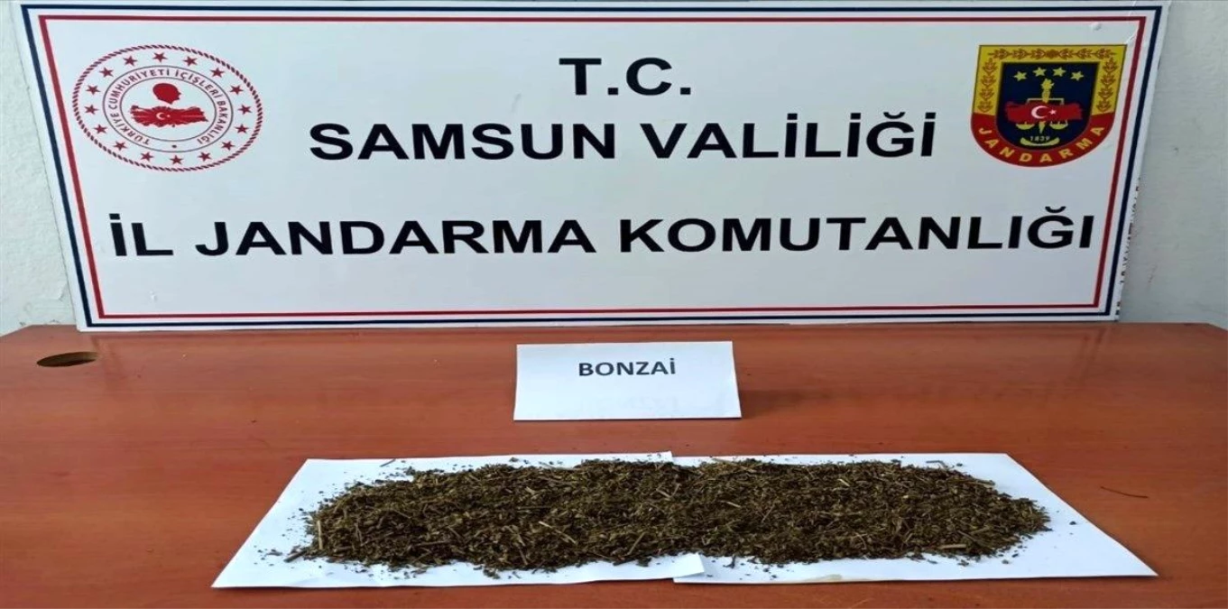 Samsun\'da uyuşturucu ve kaçakçılık operasyonları: 28 gözaltı