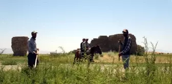 Van Gölü çekildi, tarım alanları gün yüzüne çıktı