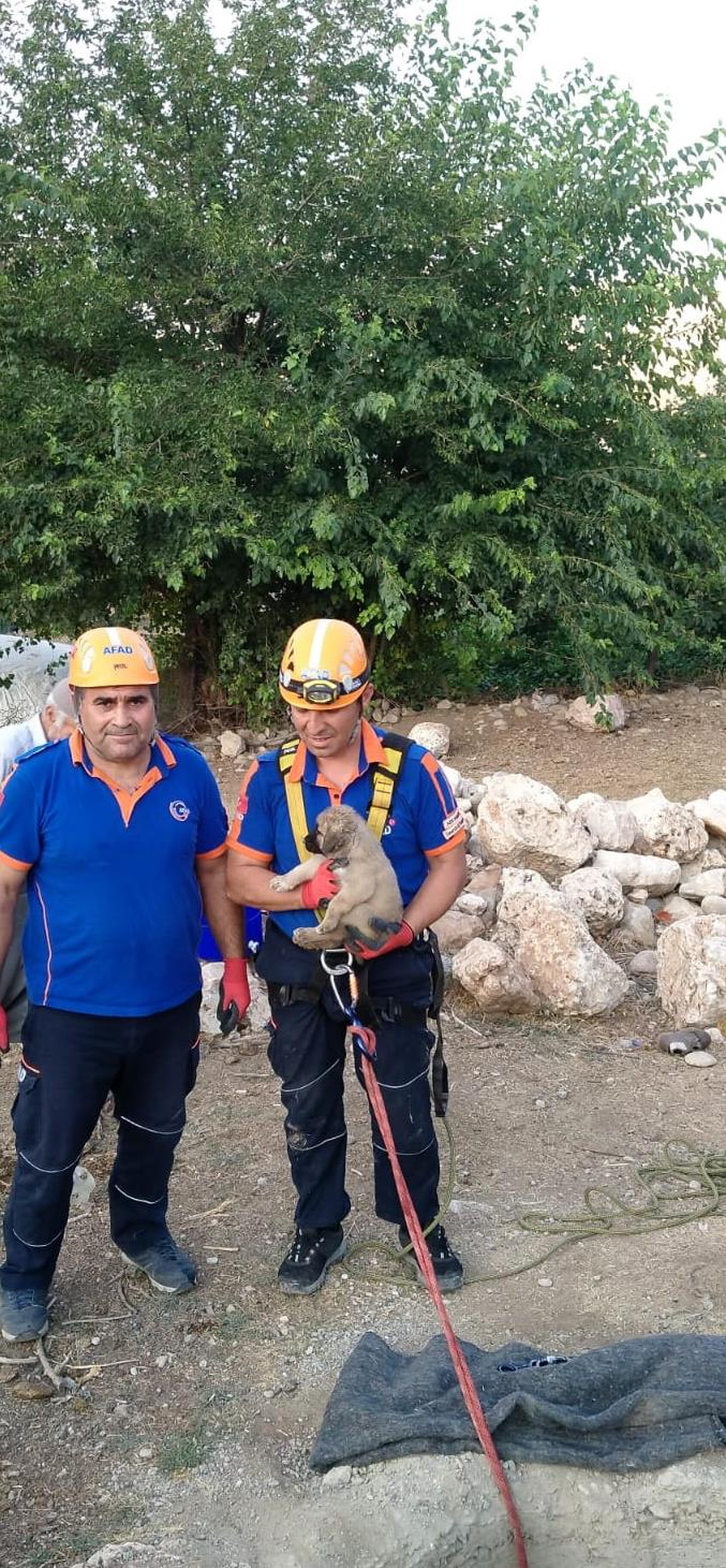 Adıyaman\'da su kuyusuna düşen köpek yavrusu kurtarıldı