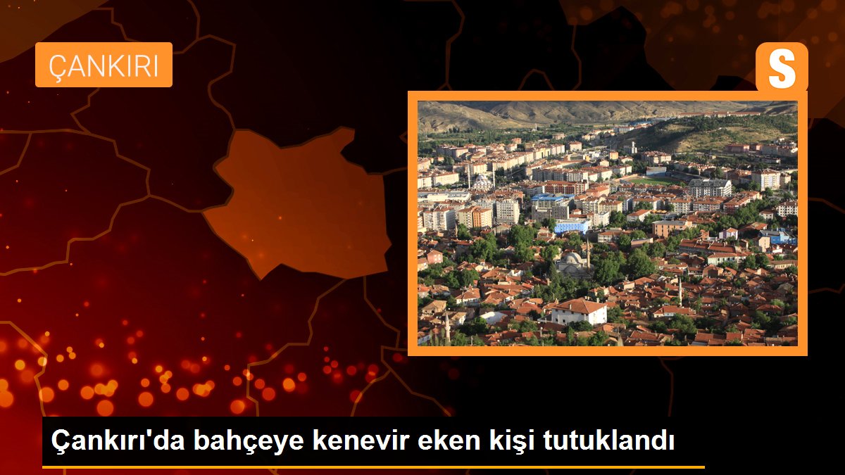 Çankırı\'da bahçeye kenevir eken kişi tutuklandı