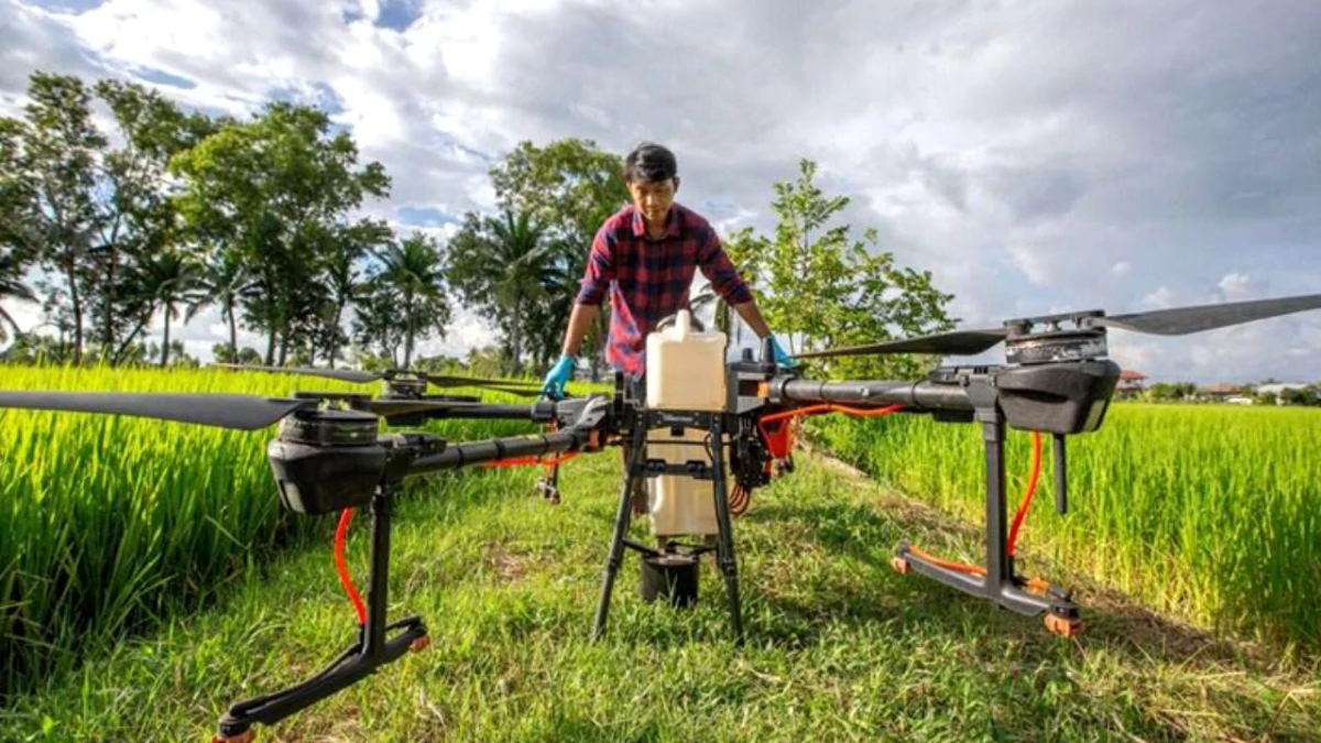 Çin Yapımı Tarım Drone\'ları Tayland\'ın Tahıl Tarlaları Üzerinde Uçuyor