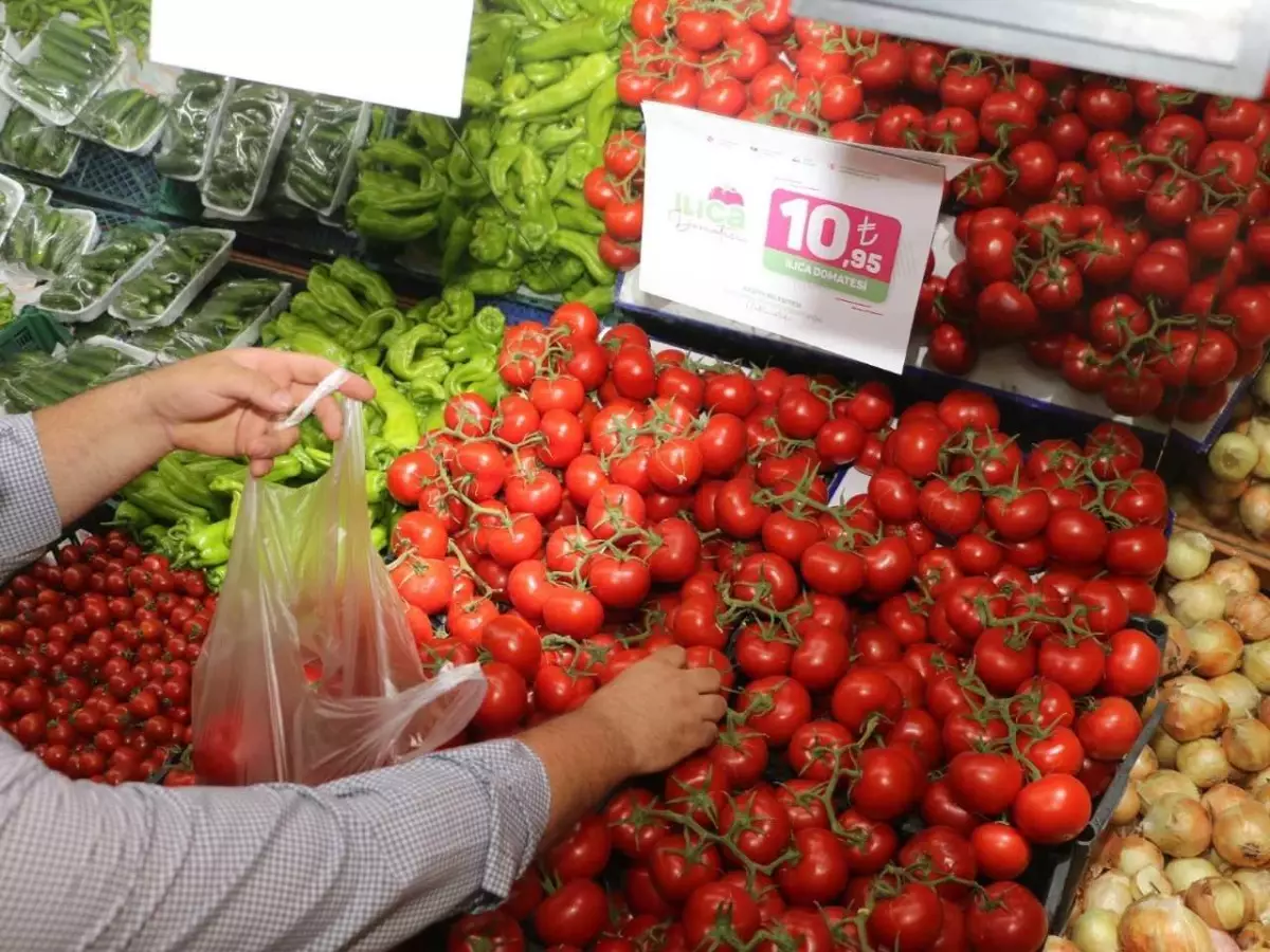 Ilıca domatesi raflardaki yerini aldı