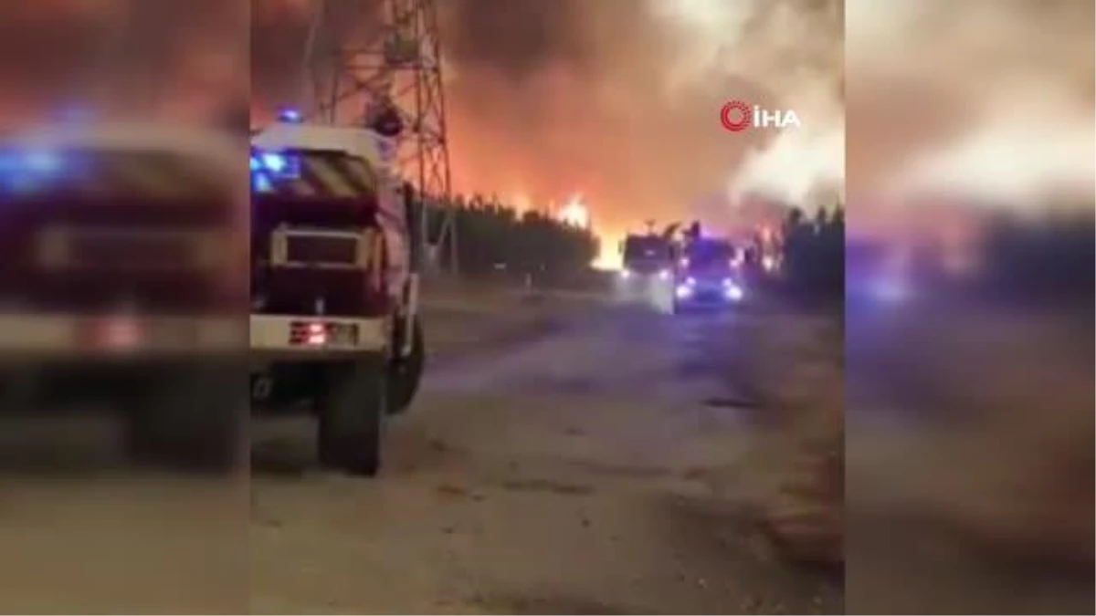 Fransa\'daki orman yangını 7 bin 400 hektar alanı küle çevirdi