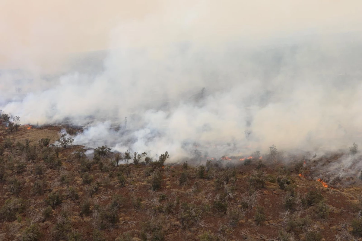 Hawaii\'de çalılık alanda yangın: 9 bin 800 hektar alan kül oldu