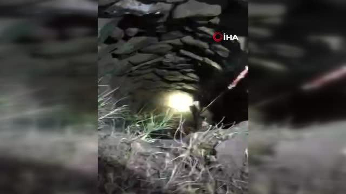 Kilis\'te su kuyusuna düşen yavru domuz kurtarıldı