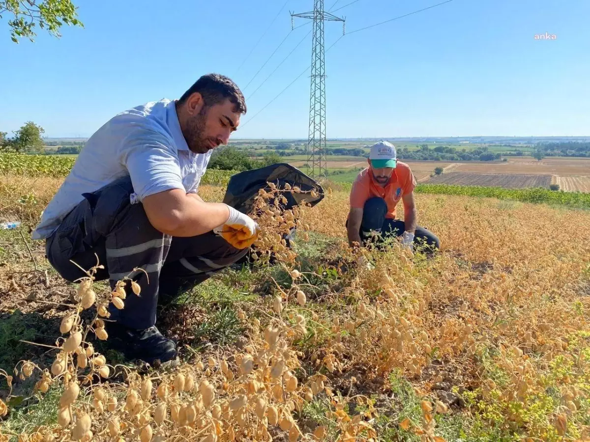 Lüleburgaz Belediyesi\'nden "sevgi Mutfağı"
