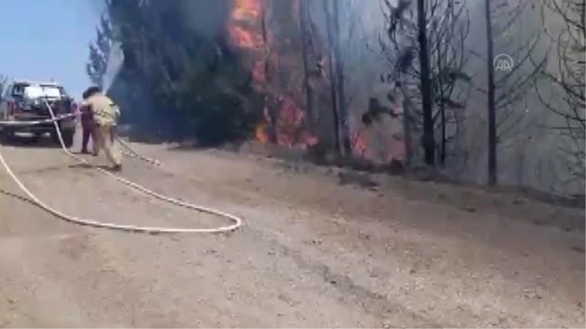 İzmir\'de ormanlık alanda çıkan yangına müdahale ediliyor