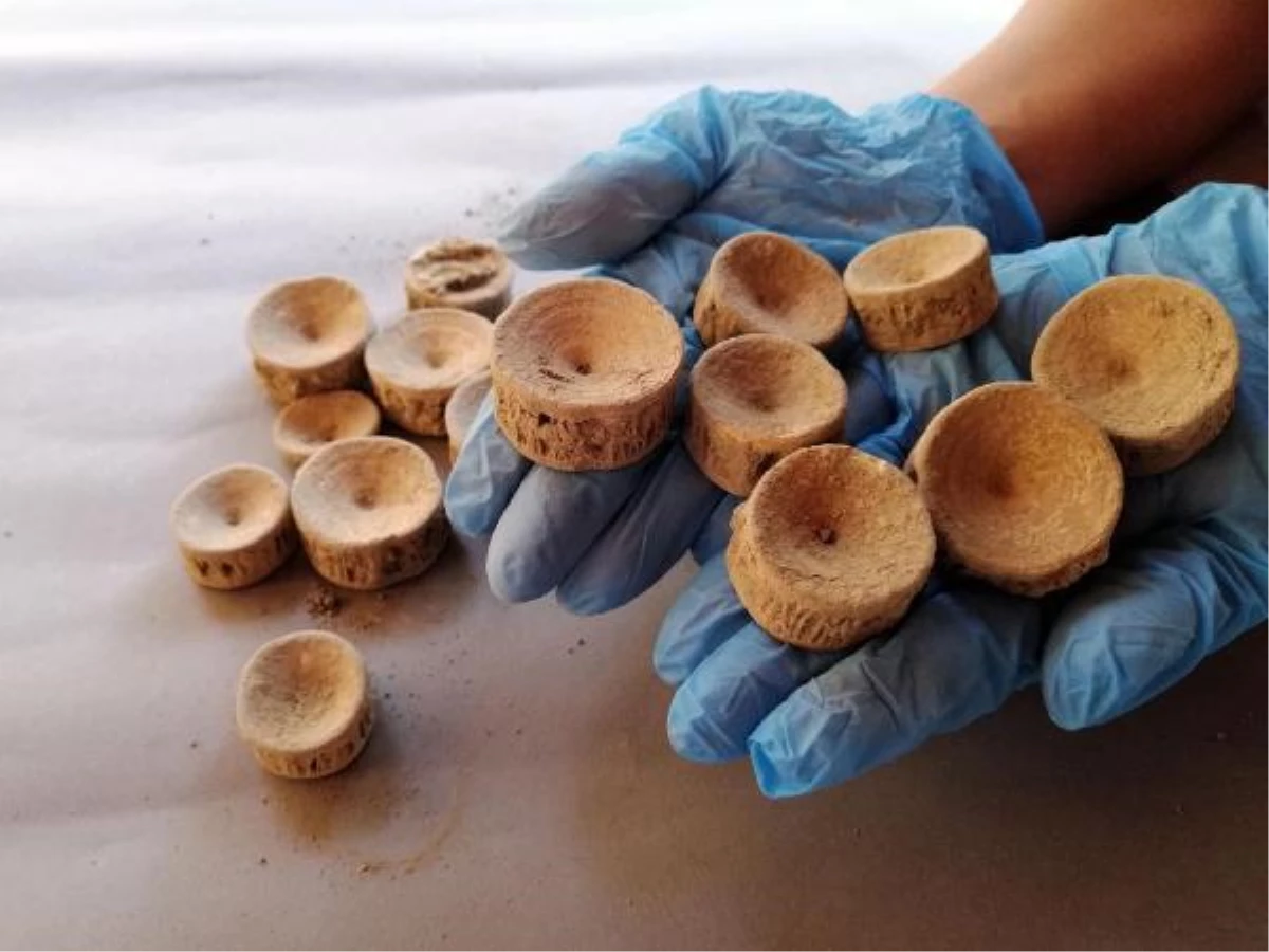 Patara\'da 2 bin 600 yıllık köpek balığı ve vatoz kemikleri bulundu
