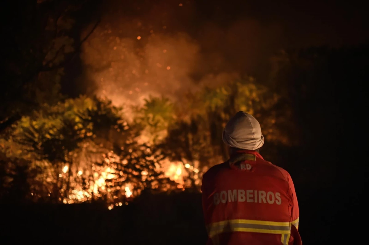 Portekiz\'deki orman yangınında 15 bin hektar alan kül oldu