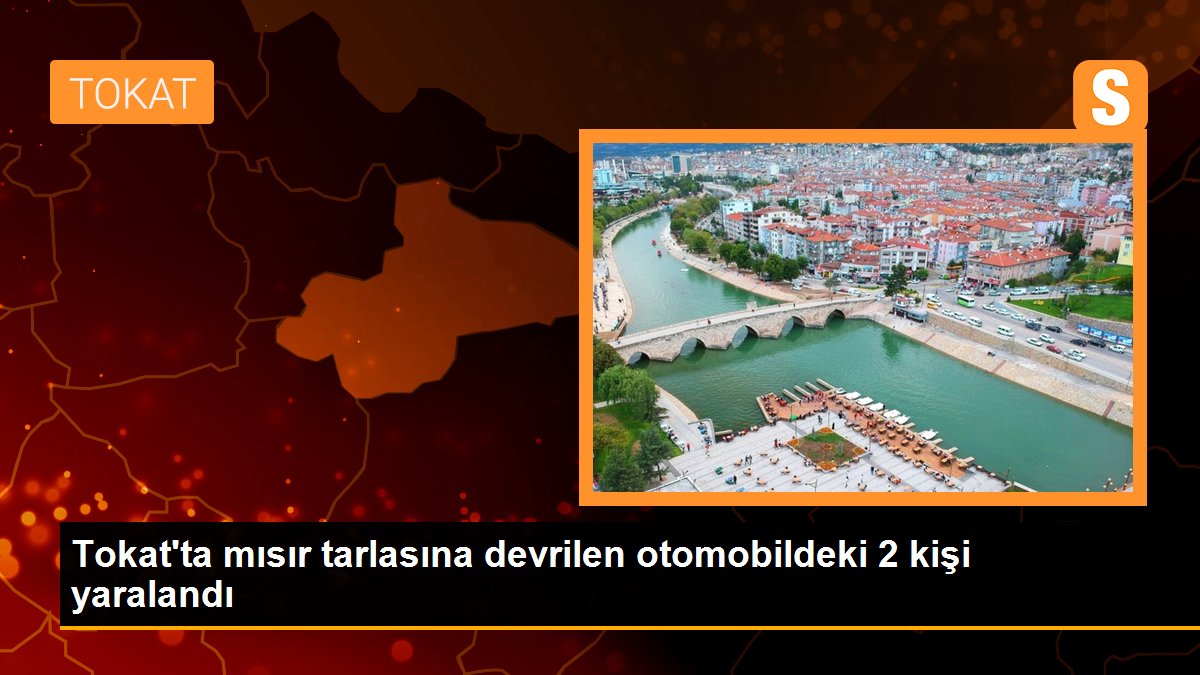 Tokat\'ta mısır tarlasına devrilen otomobildeki 2 kişi yaralandı