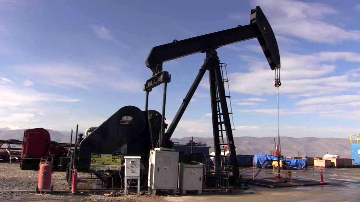 TPAO\'ya 2 saha için petrol arama ruhsatı verildi