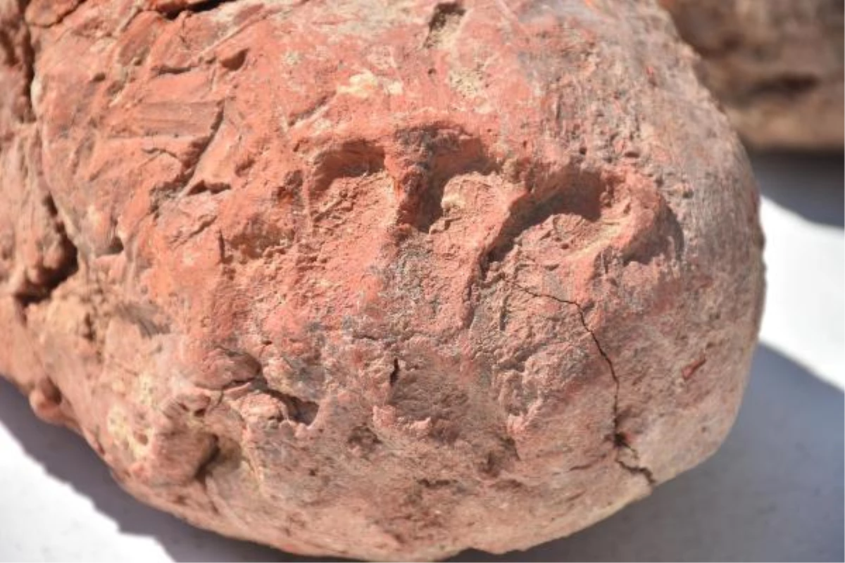 8000 years old fingerprints found in Ulucak Mound in Izmir
