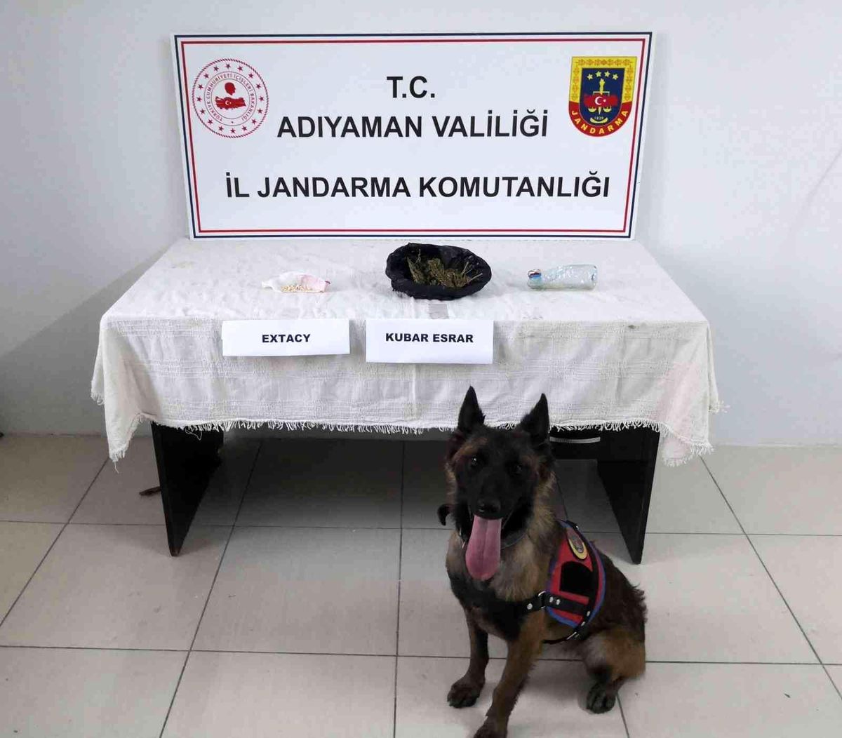 Adıyaman\'da uyuşturucu operasyonu: 1 şahıs tutuklandı