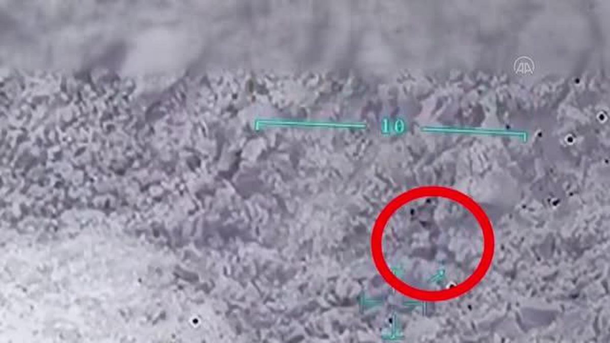 Ağrı kırsalında etkisiz hale getirilen 3 teröristten 2\'sinin "yeşil" kategoride olduğu belirlendi