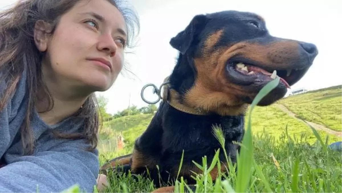 Damla öğretmen, tüfekle öldürülen köpeğine ağlıyor