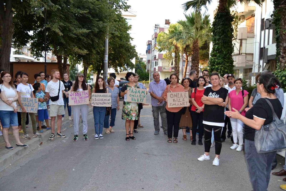 Hayvan severlerden kedi ve köpek zehirlenmelerine tepki