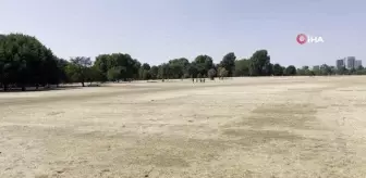 Londra'da aşırı sıcaklar çimleri kuruttu