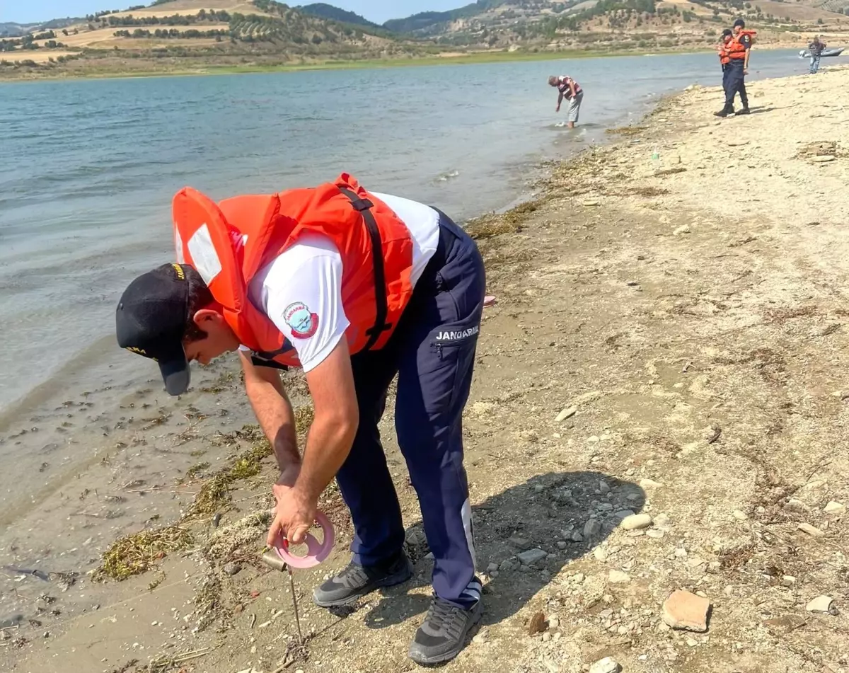 Manisa\'da jandarma kaçak avcılara geçit vermedi