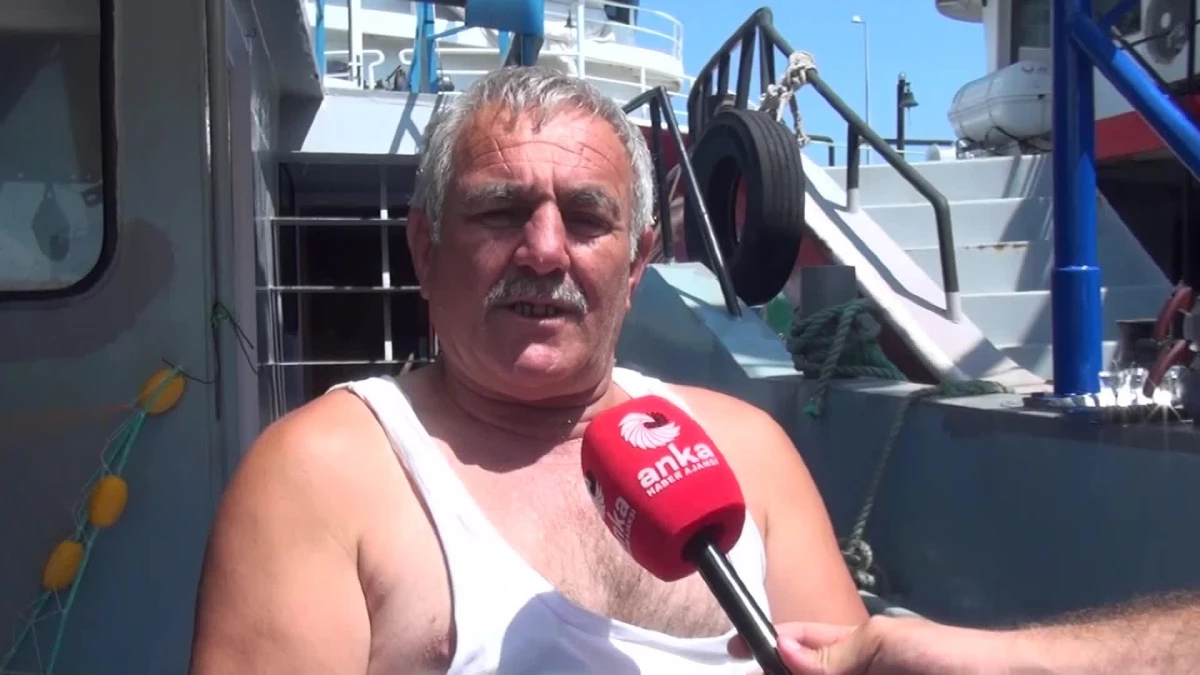 Sinoplu Balıkçılar 1 Eylül\'e Hazırlanıyor: "Balıkçının Anormal Bir Gideri Var. Bu Masraflar Bu Şekilde Olduğu Sürece Balıkçının İşi Çok Zor"