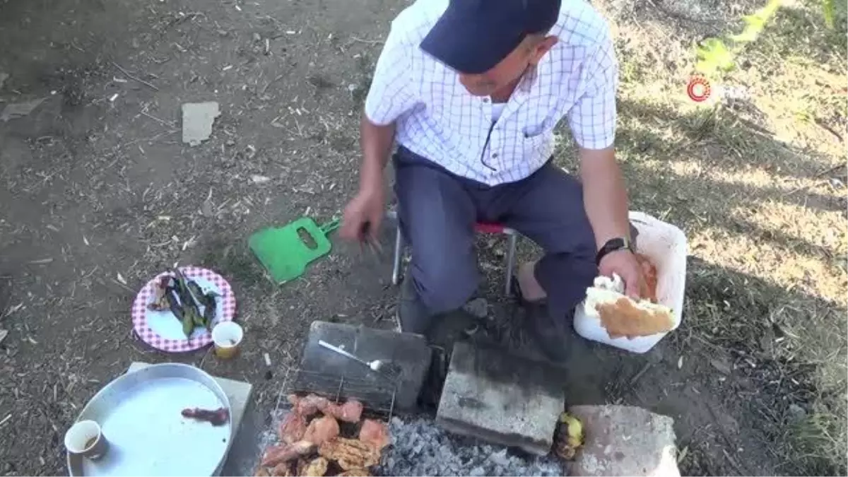 Turistler, Demirözü\'ndeki piknik alanına ilgi gösterdi