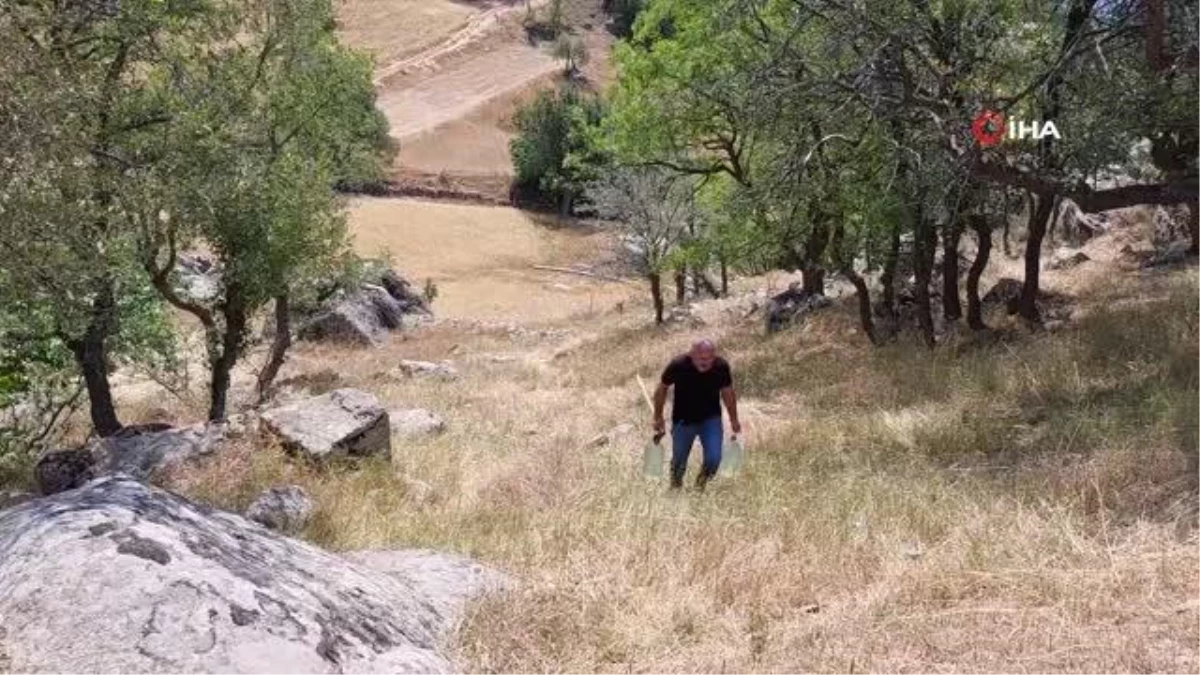 Yaban hayvanları susuz kalmasın diye dağ dağ gezip oyukları temizliyor