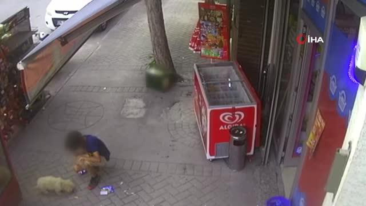 Yavru köpeği önce sevdi, sonra çaldı