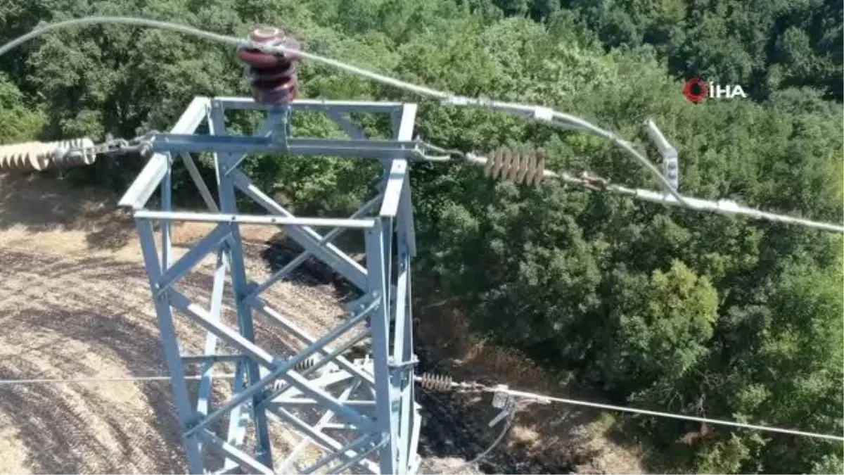 Yüksek gerilime kapılan karga az daha köyü yakacaktı