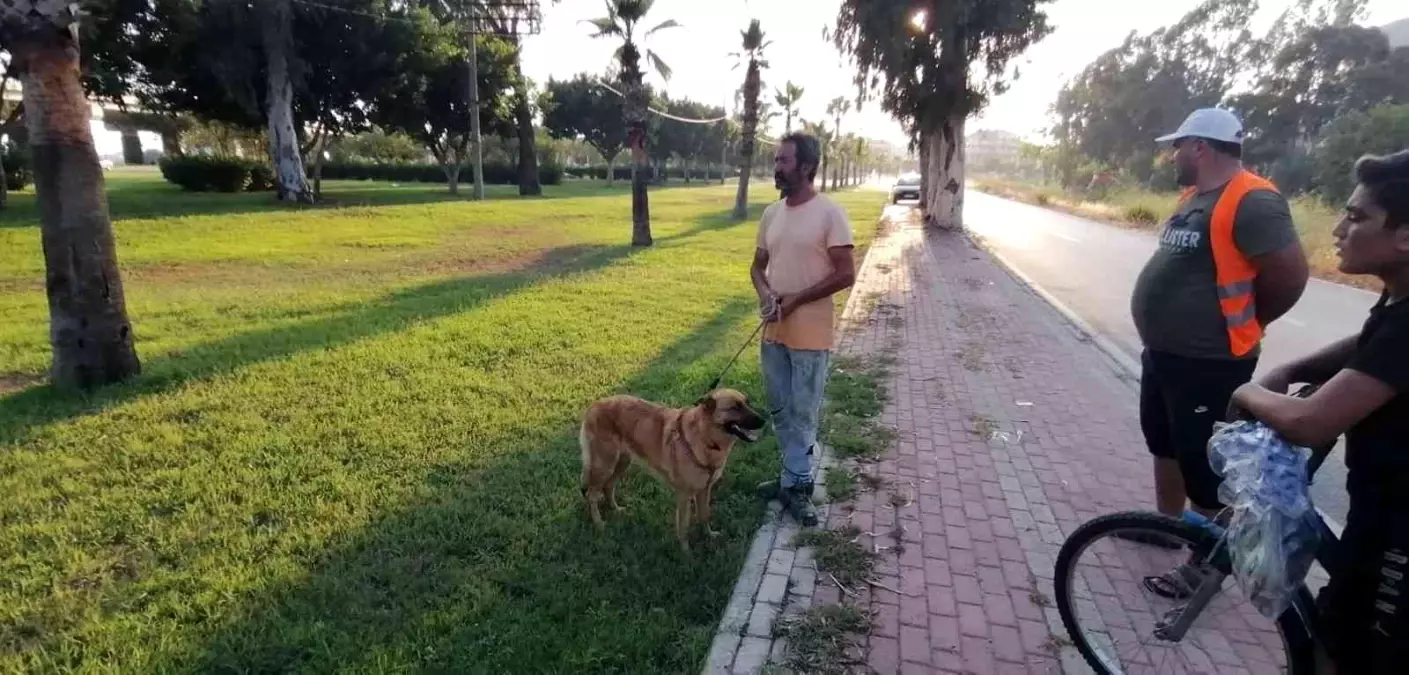 Antalya\'da otluk alanda köpek tarafından bulunan cesedin kimliği belirlendi