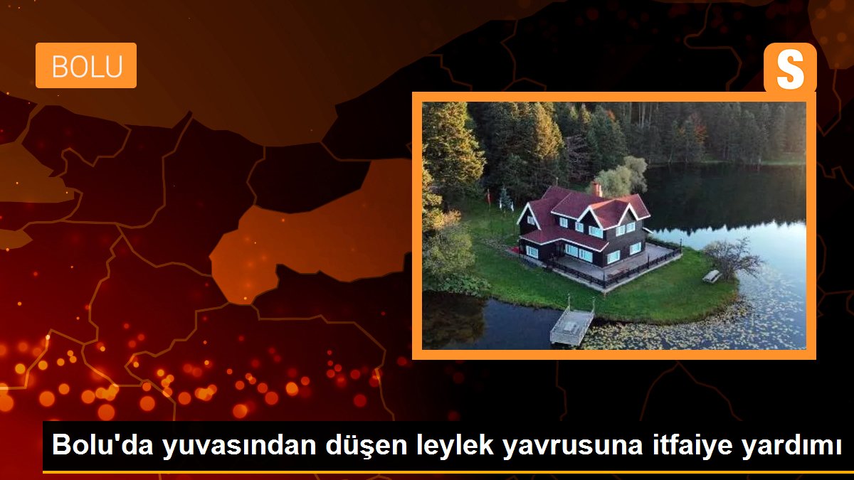 Bolu\'da yuvasından düşen leylek yavrusuna itfaiye yardımı