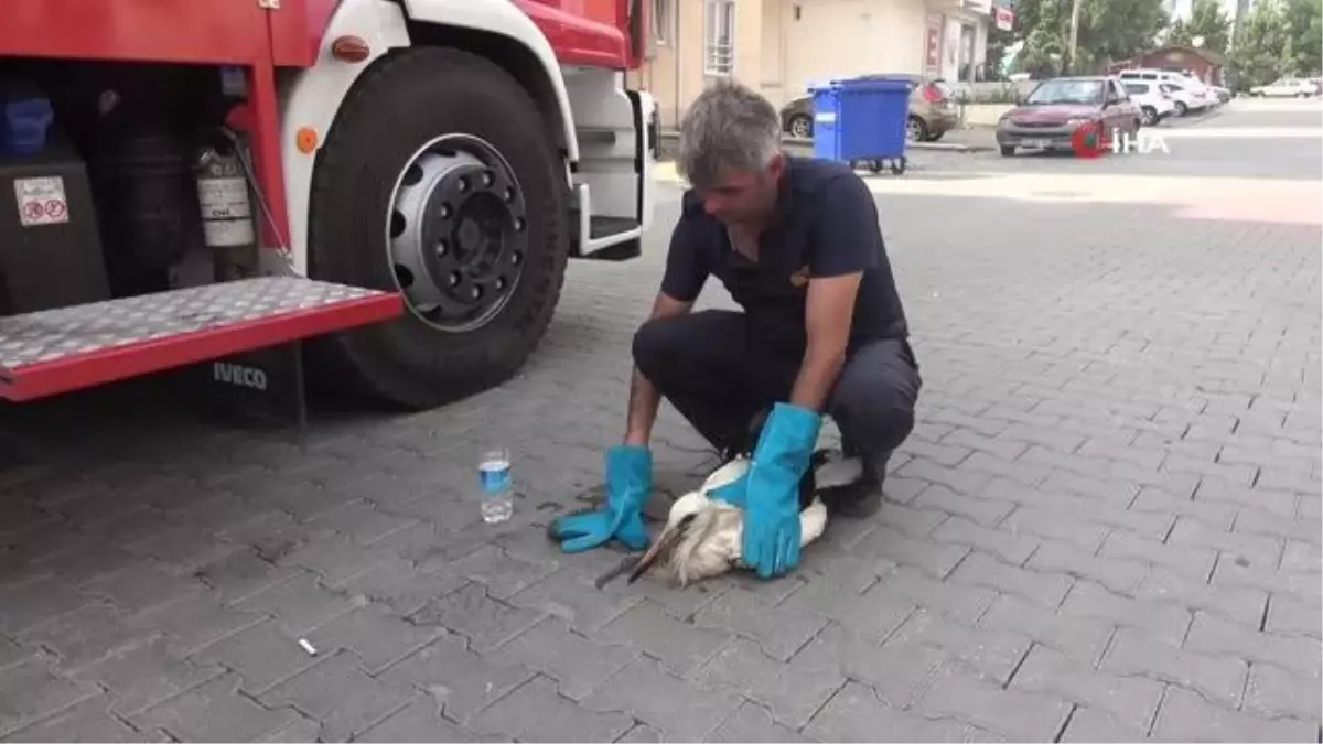 İlk uçuşunda yorgun düşen yavru leyleği yuvasına itfaiye ekipleri bıraktı