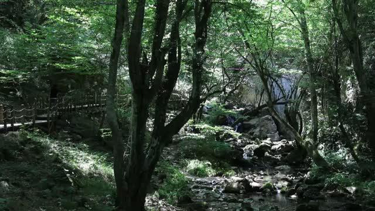 Binlerce yarasayı barındıran Dupnisa Mağarası turistlerin ilgi odağı oldu