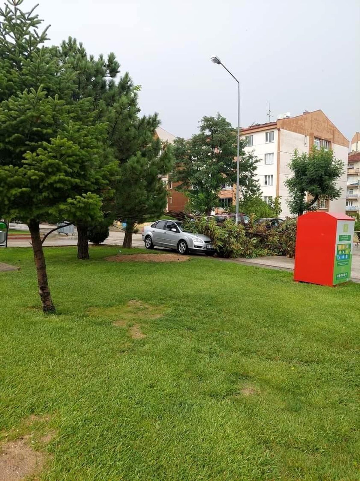 Kuvvetli rüzgar nedeniyle park halindeki otomobilin üzerine ağaç devrildi
