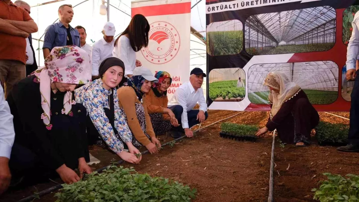 Şırnak Valisi Bilgin: "Cizre Barajı\'nın devreye girmesiyle 70 bin hektarlık alan sulanacak"