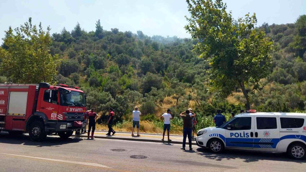 Söke\'deki yangın kısa sürede kontrol altına alındı: 3 dönümlük arazi zarar gördü