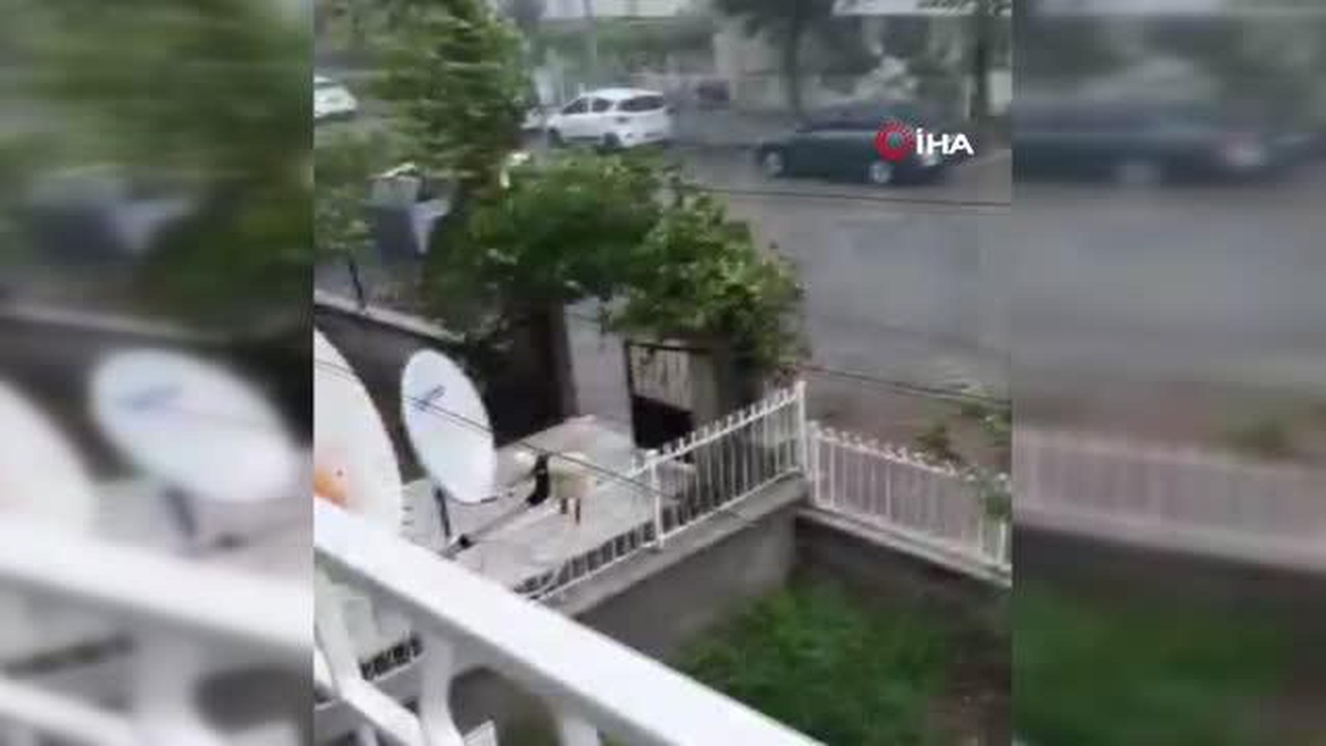 Ankara Mamak\'ta fırtınaya dayanamayan ağaç devrildi