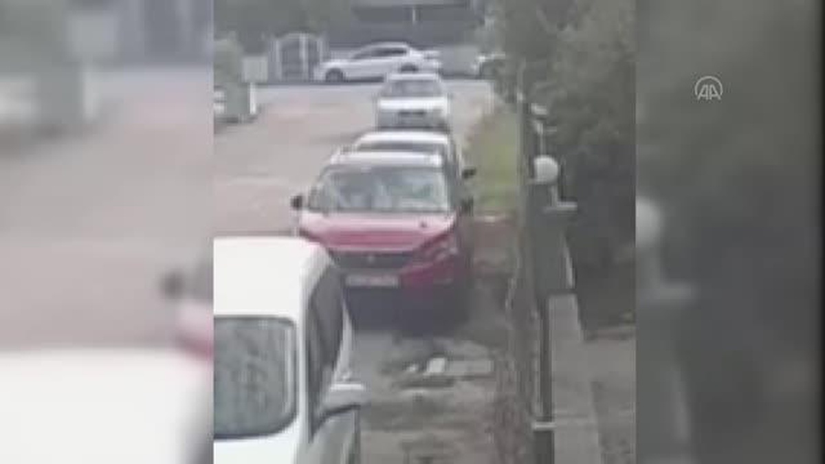 Sakarya\'da bir kadının kutuya koyduğu kedileri sokağa bırakması kameralara yansıdı