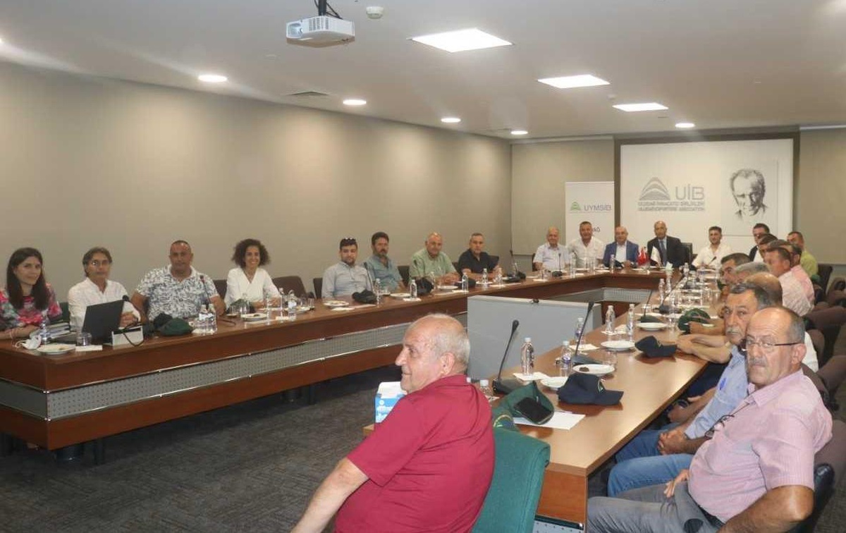"Bursa Siyah İnciri" sezona hazırlanıyor
