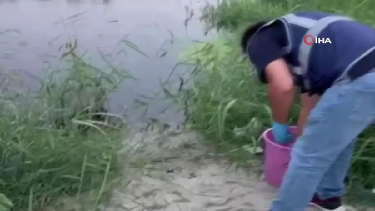 Çevre, Şehircilik ve İklim Değişikliği Bakanlığı, Tekirdağ Kınıklı Deresi\'ndeki siyah renkli kirliliğe inceleme başlattı