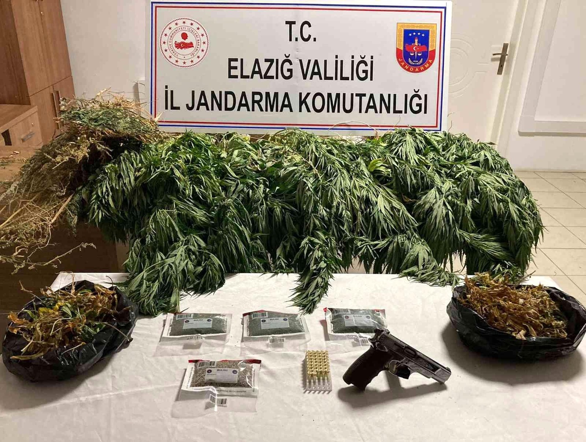 Elazığ\'da 1 kilo esrar ve 17 kök kenevir ele geçirildi