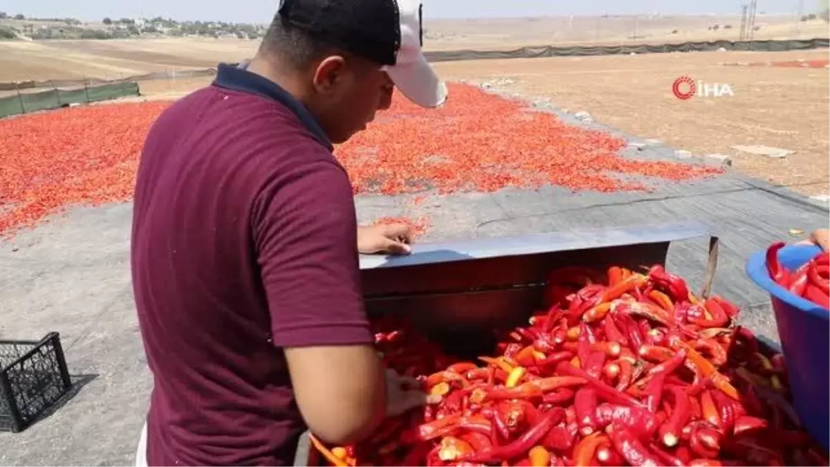 İsot mesaisi yapanlara güneş uyarısı