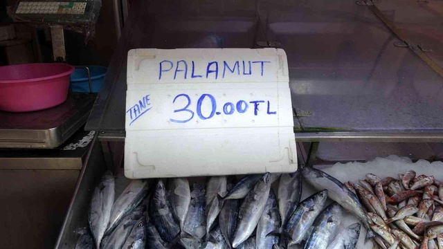 Sezonun ilk palamutları 30 liradan tezgahlarda yerini aldı Sezonun ilk palamutları 30 liradan tezgahlarda yerini aldı