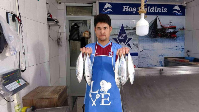 Sezonun ilk palamutları 30 liradan tezgahlarda yerini aldı Sezonun ilk palamutları 30 liradan tezgahlarda yerini aldı