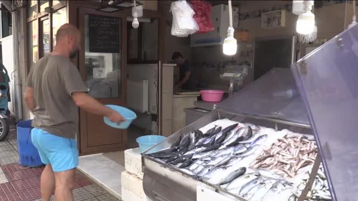 Sinop\'ta sezonun ilk palamutları tezgahlardaki yerini aldı
