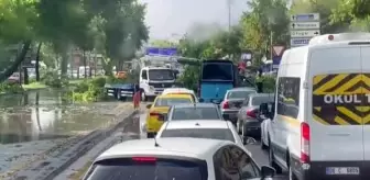 Şiddetli rüzgar ve yağış nedeniyle ağaçlar devrildi