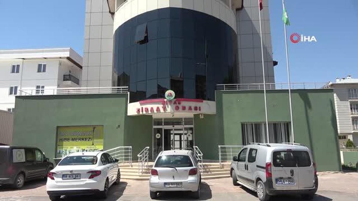 Buğdayda bereket yılı, depolar doldu taştı