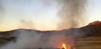 Van'da 20 ton saman ve 5 bin bağ ot yandı