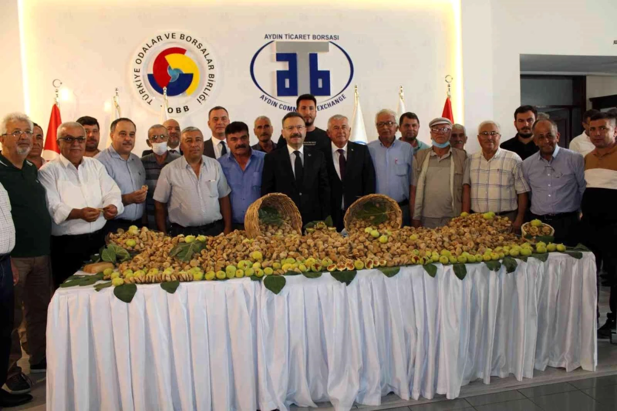 Aydın\'da sezonun ilk kuru inciri 350 liradan satıldı
