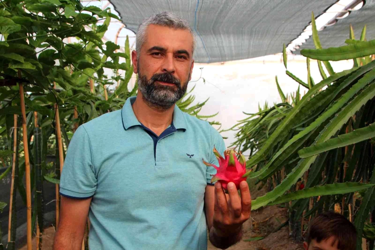 Bu meyveyi yetişmek için serasına kamera sistemi ve soba kurdu