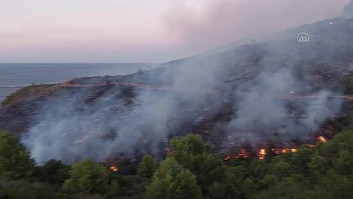 Fas\'ta orman yangınını söndürme çalışmaları sırasında 3 itfaiyeci öldü